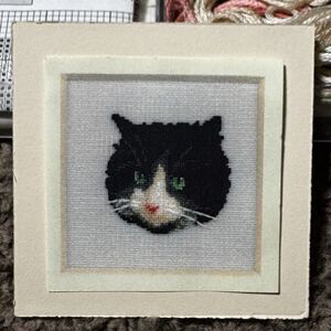 Perfection In Silk Black & White Kitty Cross Stitch Kit Kremlin Tuxedo Cat 2x2in